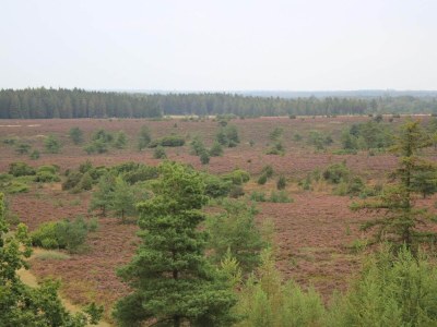 Holiday house 5 Personen Ferienhaus in Hovborg-By Traum - Outdoor photo 14