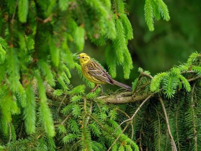 Holiday house 5 Personen Ferienhaus in Hovborg-By Traum - Outdoor photo 17