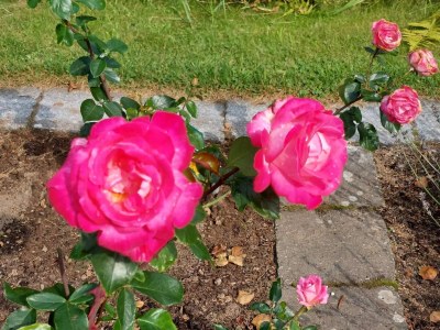 Holiday house 8 person holiday home in Sæby-By Traum - Outdoor photo 7