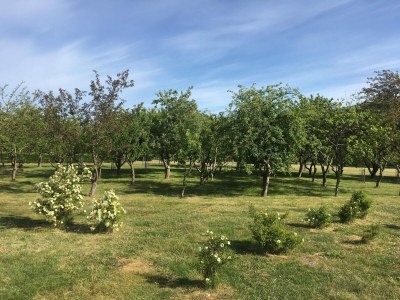 Holiday house 8 person holiday home in Sæby-By Traum - Outdoor photo 8