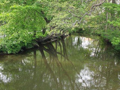 Holiday house 8 person holiday home in Sæby-By Traum - Outdoor photo 14