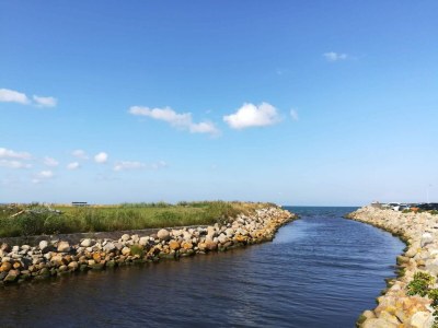 Holiday house 8 person holiday home in Sæby-By Traum - Outdoor photo 15