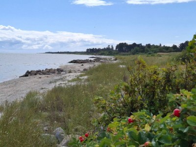 Holiday house 8 person holiday home in Sæby-By Traum - Outdoor photo 20