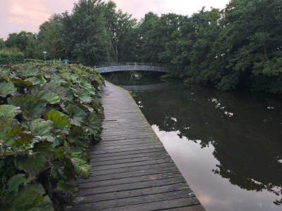 Holiday house 8 person holiday home in Sæby-By Traum - Outdoor photo 21