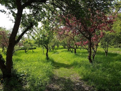 Holiday house 8 person holiday home in Sæby-By Traum - Outdoor photo 22