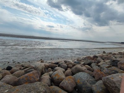 Holiday house 8 person holiday home in Sæby-By Traum - Outdoor photo 27