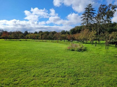 Holiday house 8 person holiday home in Sæby-By Traum - Outdoor photo 28