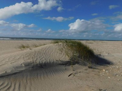 Holiday house 25 person holiday home in Rømø-By Traum - Outdoor photo 37