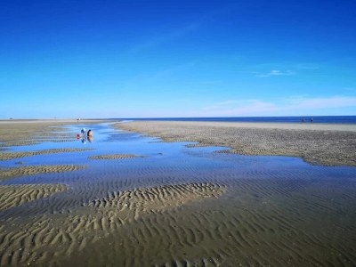 Holiday house 25 person holiday home in Rømø-By Traum - Outdoor photo 47