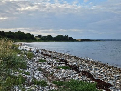 Holiday house 6 Personen Ferienhaus in Knebel-By Traum - Outdoor photo 27