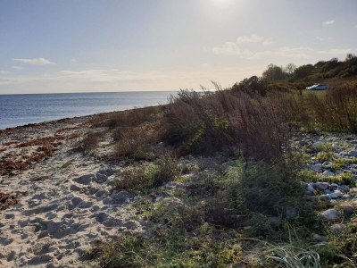 Holiday house 6 Personen Ferienhaus in Knebel-By Traum - Outdoor photo 28
