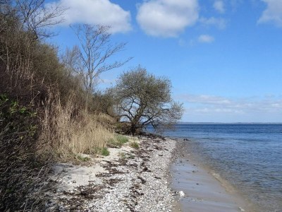 Holiday house 6 Personen Ferienhaus in Knebel-By Traum - Outdoor photo 31