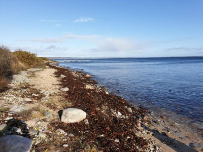 Holiday house 6 Personen Ferienhaus in Knebel-By Traum - Outdoor photo 33