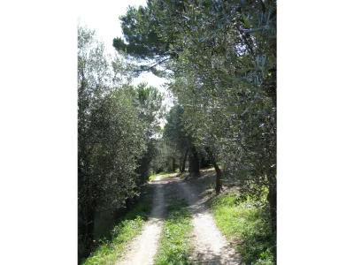 Holiday house Casa Bianca - Outdoor photo 7