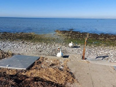 Apartment 4 Personen Ferienhaus in Bogense-By Traum - Outdoor photo 12