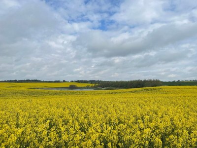 Holiday house Luxus-Ruckzug in Vorupor -- By Traum Ferienwohnungen - Outdoor photo 3