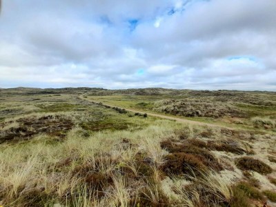 Holiday house Luxus-Ruckzug in Vorupor -- By Traum Ferienwohnungen - Outdoor photo 14