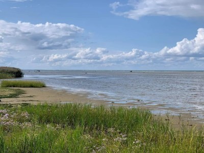 Holiday house 10 person holiday home in Løkken-By Traum - Outdoor photo 30
