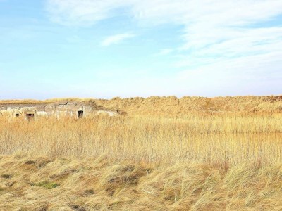 Holiday house 8 person holiday home in Vestervig-By Traum - Outdoor photo 12