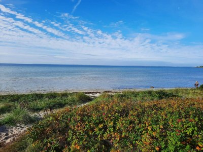 Holiday house 9 Personen Ferienhaus in Jægerspris-By Traum - Outdoor photo 36