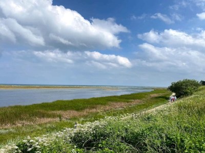 Holiday house 6 person holiday home in Hadsund-By Traum - Outdoor photo 42