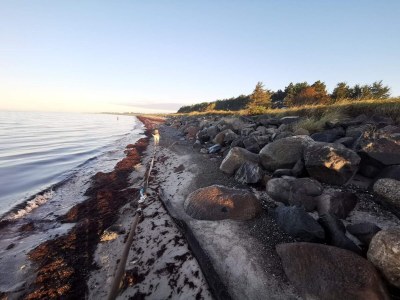 Holiday house 8 Personen Ferienhaus in Dannemare-By Traum - Outdoor photo 37