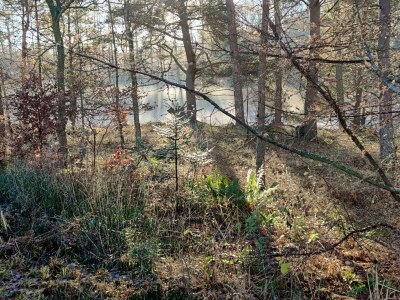 Holiday house Luxury Spa Retreat in Thorsager - By Traum Ferienwohnungen - Outdoor photo 11