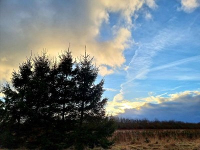 Holiday house Luxury Spa Retreat in Thorsager - By Traum Ferienwohnungen - Outdoor photo 22