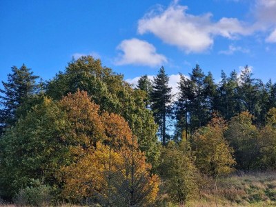 Holiday house Luxury Spa Retreat in Thorsager - By Traum Ferienwohnungen - Outdoor photo 23