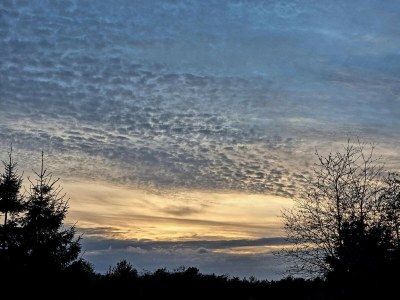 Holiday house Luxury Spa Retreat in Thorsager - By Traum Ferienwohnungen - Outdoor photo 25