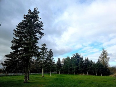 Holiday house Luxury Spa Retreat in Thorsager - By Traum Ferienwohnungen - Outdoor photo 26