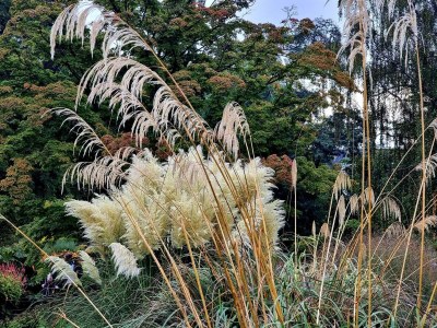 Holiday house Luxury Spa Retreat in Thorsager - By Traum Ferienwohnungen - Outdoor photo 27