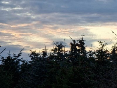 Holiday house Luxury Spa Retreat in Thorsager - By Traum Ferienwohnungen - Outdoor photo 32