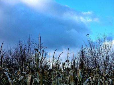 Holiday house Luxury Spa Retreat in Thorsager - By Traum Ferienwohnungen - Outdoor photo 33