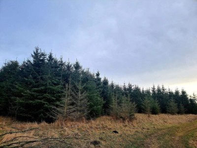 Holiday house Luxury Spa Retreat in Thorsager - By Traum Ferienwohnungen - Outdoor photo 34