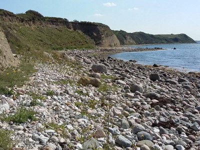 Holiday house 4 Personen Ferienhaus in Føllenslev-By Traum - Outdoor photo 7