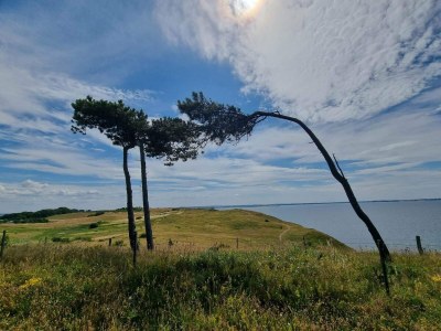 Holiday house 4 Personen Ferienhaus in Føllenslev-By Traum - Outdoor photo 22