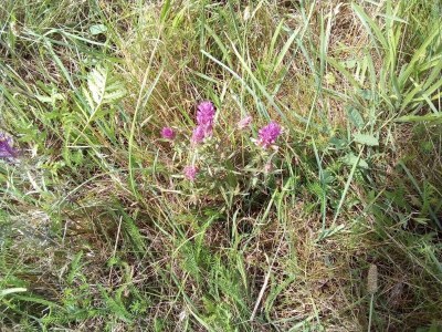 Holiday house 4 Personen Ferienhaus in Føllenslev-By Traum - Outdoor photo 23
