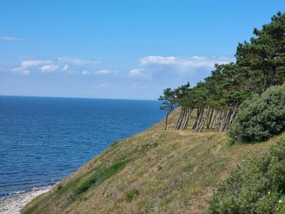 Holiday house 4 Personen Ferienhaus in Føllenslev-By Traum - Outdoor photo 36
