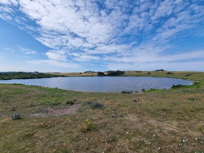 Holiday house 4 Personen Ferienhaus in Føllenslev-By Traum - Outdoor photo 38