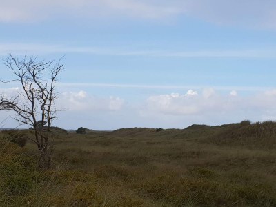 Holiday house 6 Personen Ferienhaus in Jerup-By Traum - Outdoor photo 29