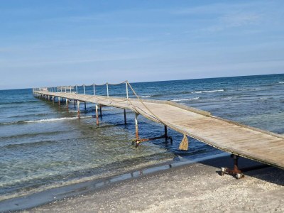Holiday house 6 Personen Ferienhaus in Jerup-By Traum - Outdoor photo 33
