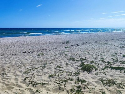 Holiday house 6 Personen Ferienhaus in Idestrup-By Traum - Outdoor photo 7