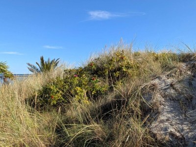 Holiday house 6 Personen Ferienhaus in Frederikshavn-By Traum - Outdoor photo 4