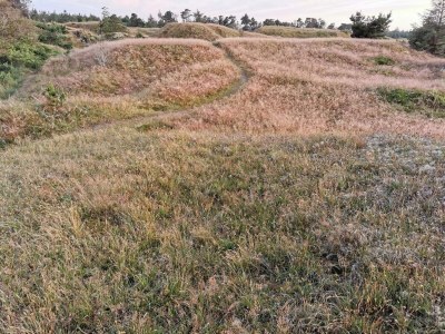Holiday house 6 Personen Ferienhaus in Frederikshavn-By Traum - Outdoor photo 8