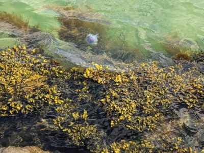 Holiday house 6 Personen Ferienhaus in Frederikshavn-By Traum - Outdoor photo 31