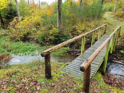 Holiday house 6 Personen Ferienhaus in Frederikshavn-By Traum - Outdoor photo 33