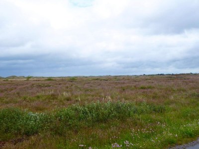Holiday house 6 Personen Ferienhaus in Frederikshavn-By Traum - Outdoor photo 36