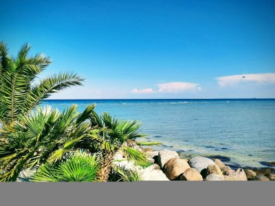 Holiday house 6 Personen Ferienhaus in Frederikshavn-By Traum - Outdoor photo 37