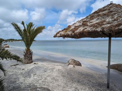 Holiday house 6 Personen Ferienhaus in Frederikshavn-By Traum - Outdoor photo 39
